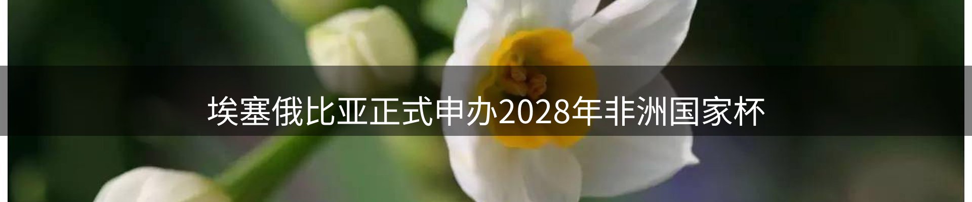资讯指南