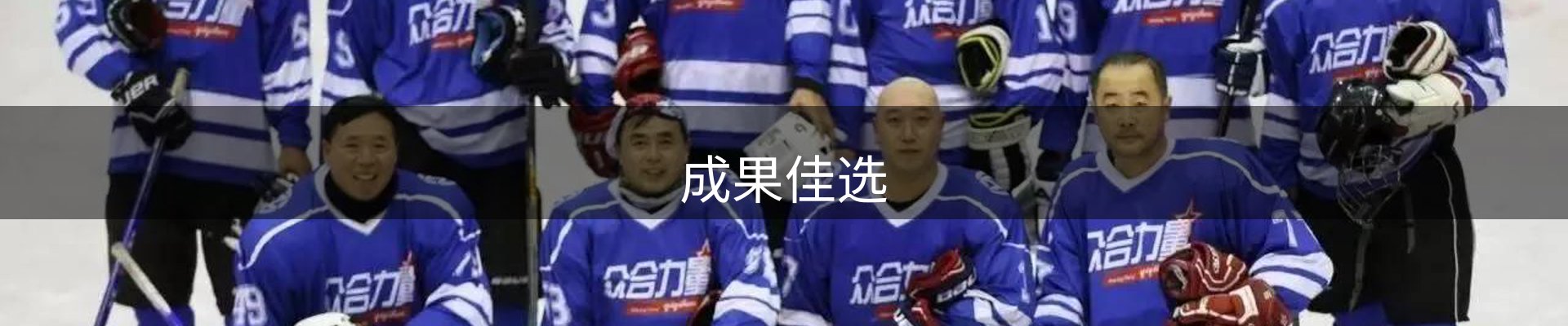 成果佳选